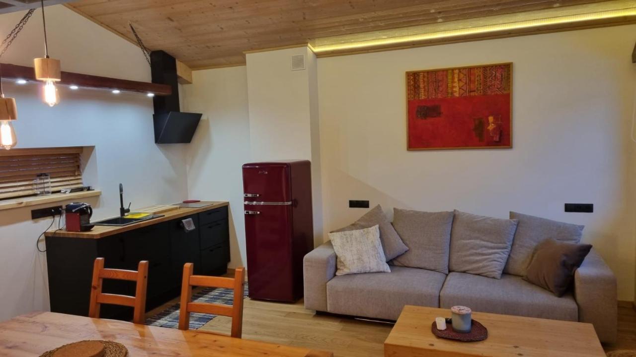 Apartamenty U Kolodzieja Щирк Екстер'єр фото