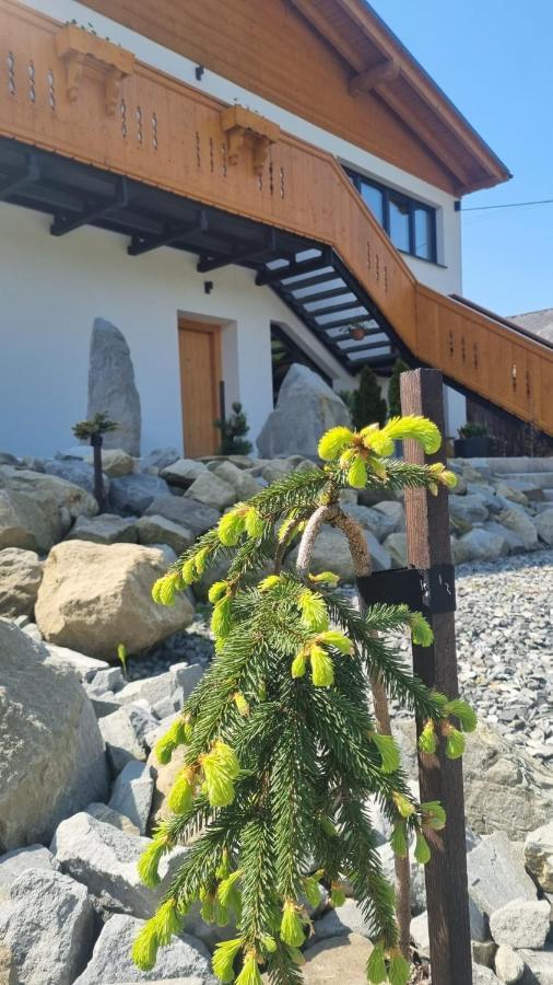 Apartamenty U Kolodzieja Щирк Екстер'єр фото
